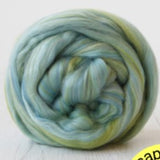 DHG 70% Merino Wool 30% Tussah Silk Tops - 100gms